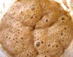 Live Sourdough starter