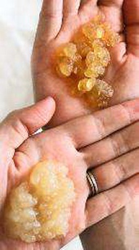 Ginger beer Vs Water Kefir