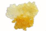 Water Kefir Grains Color Mix