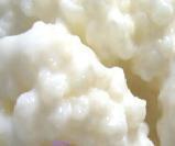 Milk Kefir Grains