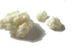 Milk Kefir Grains