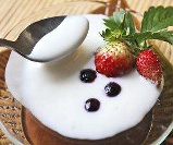 Viili Yogurt