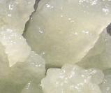 Water Kefir Grains